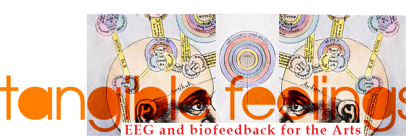 Tangible Feelings: EEG and biofeedback for the Arts. Title lettering over an early-modern engraving of two heads mapped with the faculties of the mind.